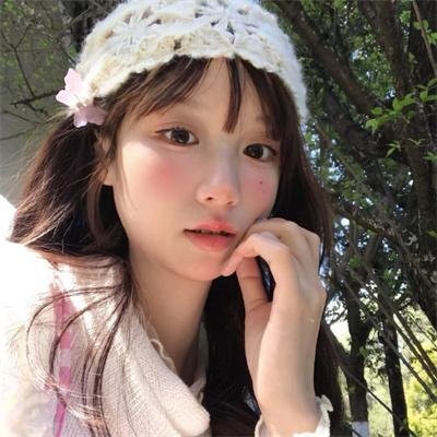 假元首秘纪